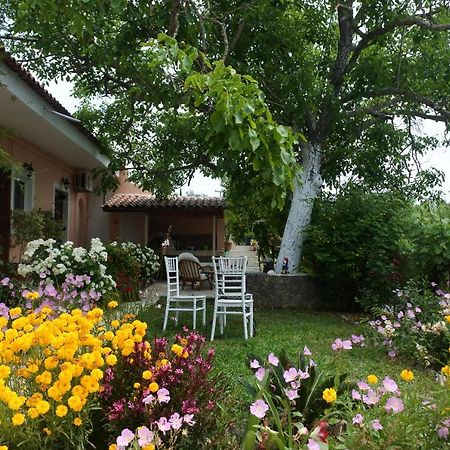 Mina'S Serene Garden House Κοντόκαλι Εξωτερικό φωτογραφία